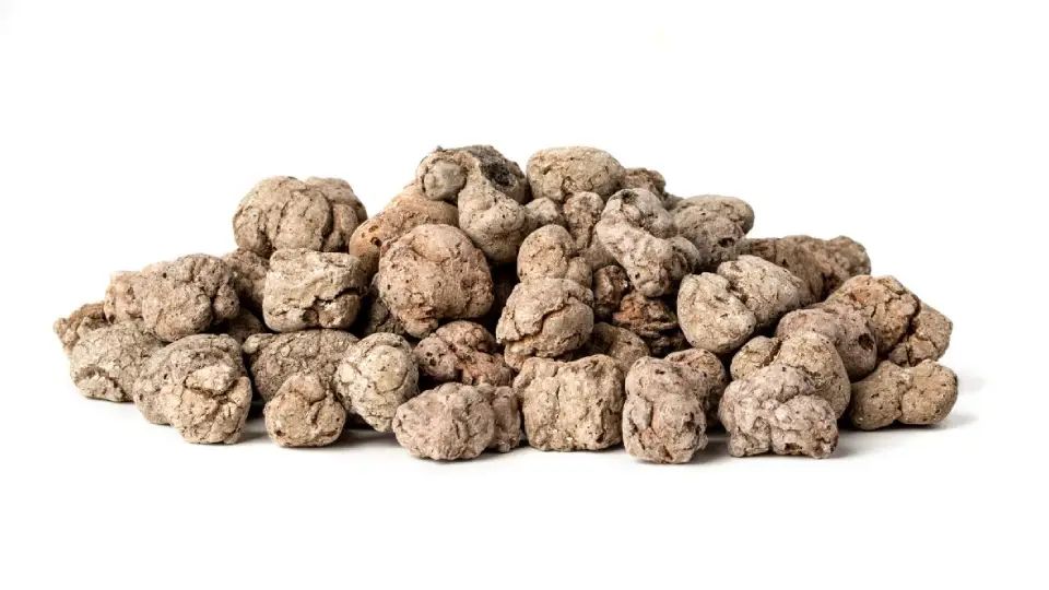 Budowa Domów Ozorków - MyQu.be